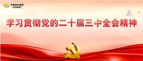 进建贯彻党的二十届三中全会心灵
